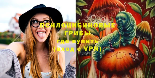 2c-b Михайлов